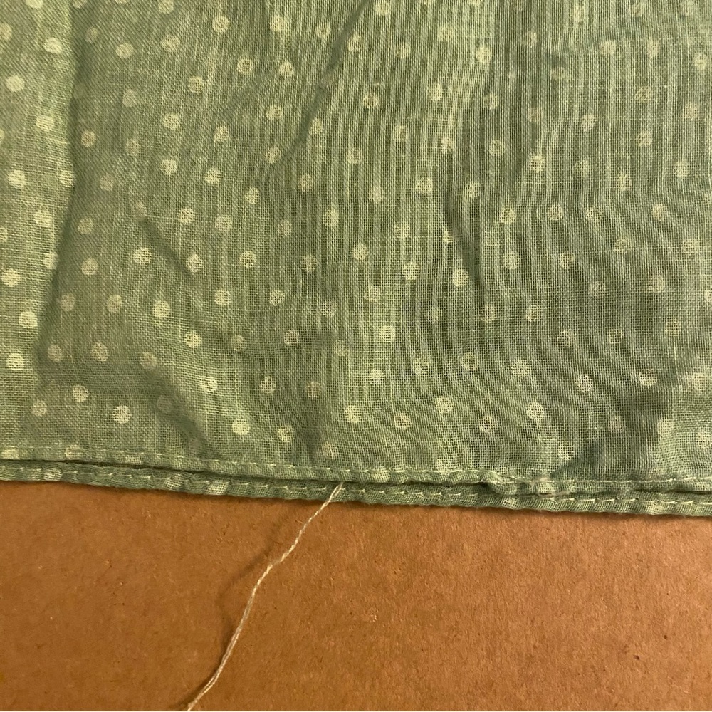 Vintage Wild Honey 70s semi sheer green polka ruffle cottagecore prairie dress - Picture 10 of 16